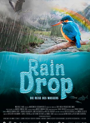 Cartel de  Raindrop