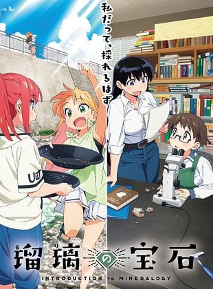 Cartel de Ruri no Houseki