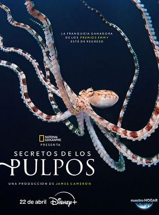 Secretos de los pulpos