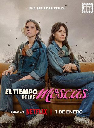 Cartel de El Tiempo de las Moscas