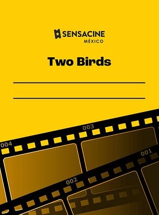 Cartel de Two Birds