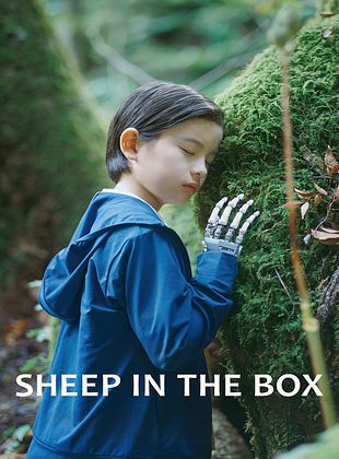 Cartel de  Sheep in the Box
