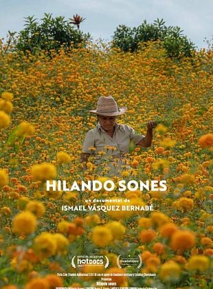 Cartel de  Hilando sones