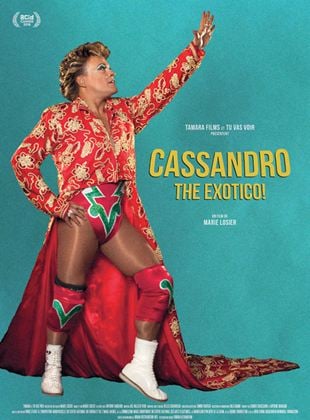  Cassandro, The exótico!