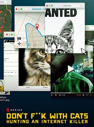 No te metas con los gatos: Un asesino en internet.