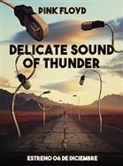 The delicate sound of thunder