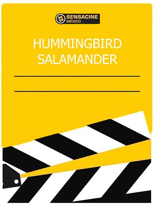 Hummingbird Salamander