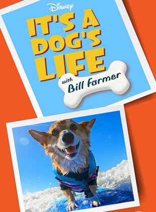 Una vida de perros con Bill Farmer
