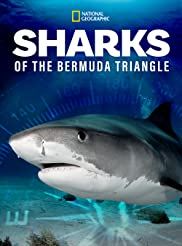 Tiburones del Triángulo de las Bermudas