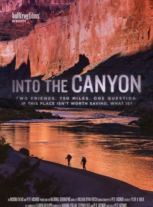  Into the Canyon