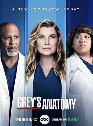 Grey's Anatomy - Temporada 19