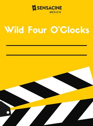 Wild Four O’Clocks