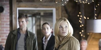 Cartel de Diez Plagas