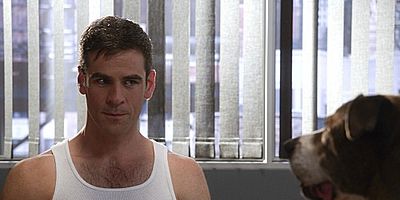 Cartel de Misconceptions