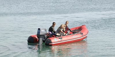 Cartel de Metamorphosis