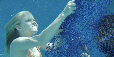 Cartel de Catch of the Day