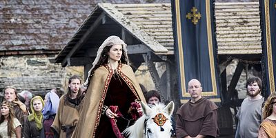 Cartel de Deshuesado