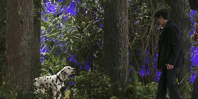 Cartel de Sympathy for the De Vil