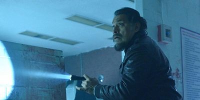 Cartel de Fallen Light