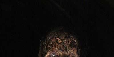 Cartel de Ahora más que nunca, nos preocupamos por ti