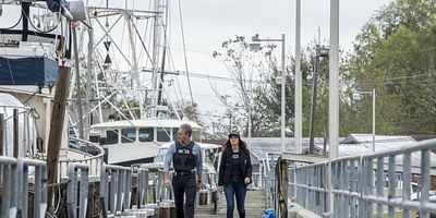 Cartel de Return Of The King