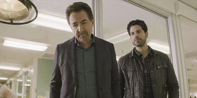 Cartel de Alpha Male