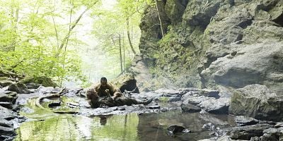 Cartel de Llevar caballo de vuelta al establo
