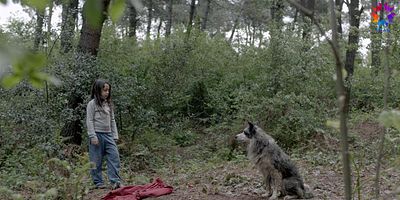 Cartel de Anne 25.Bölüm