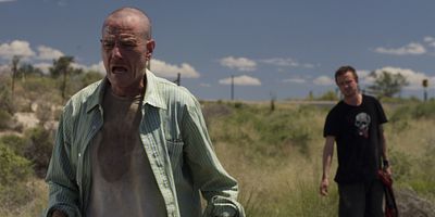 Cartel de Picadura de una abeja muerta