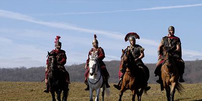 Cartel de An Owl in a Thornbush