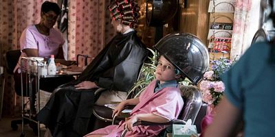 Cartel de Cape Canaveral, Shrodinger's Cat, and Cyndi Lauper's Hair