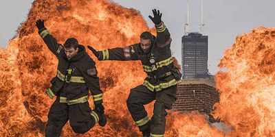 Cartel de Law of the Jungle