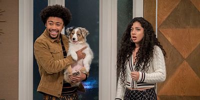 Cartel de Cuánta peste mal que te cueste