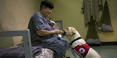 Cartel de Se ve azul, sabe rojo
