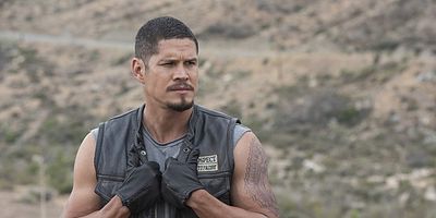 Cartel de Uch/Opossum