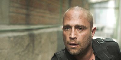 Cartel de Fauna Pt 1