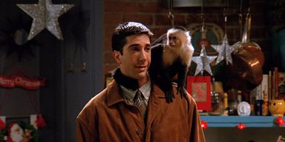 Cartel de Uno con el mono