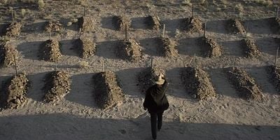 Cartel de Padres e hijos