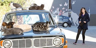 Cartel de Lugar de estacionamiento