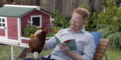 Cartel de Did the Chicken Cross the Road ?