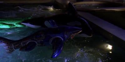 Cartel de The Shake Up