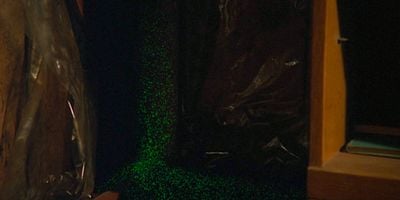 Cartel de Darkness Falls