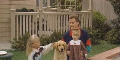 Cartel de And They Call It Puppy Love