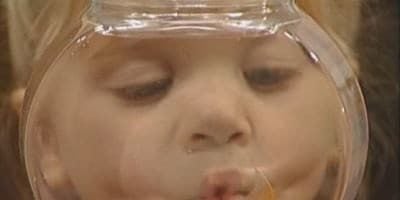 Cartel de A Fish Called Martin