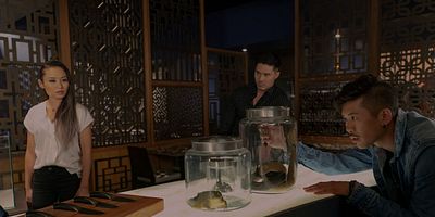 Cartel de Asesinos del Gu