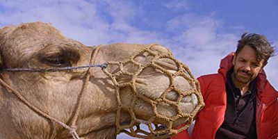 Cartel de Rojo, rojo