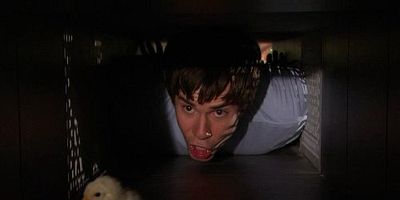 Cartel de Todos a detención