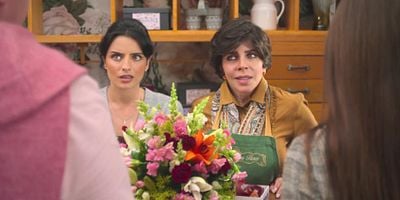 Cartel de TULIPÁN (símb. esperanza)