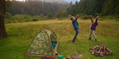 Cartel de TUSILAGO (preocupaciones)