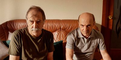 Cartel de El análisis